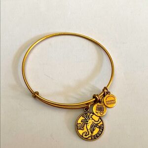 Alex and Ani Scorpio Bracelet EUC